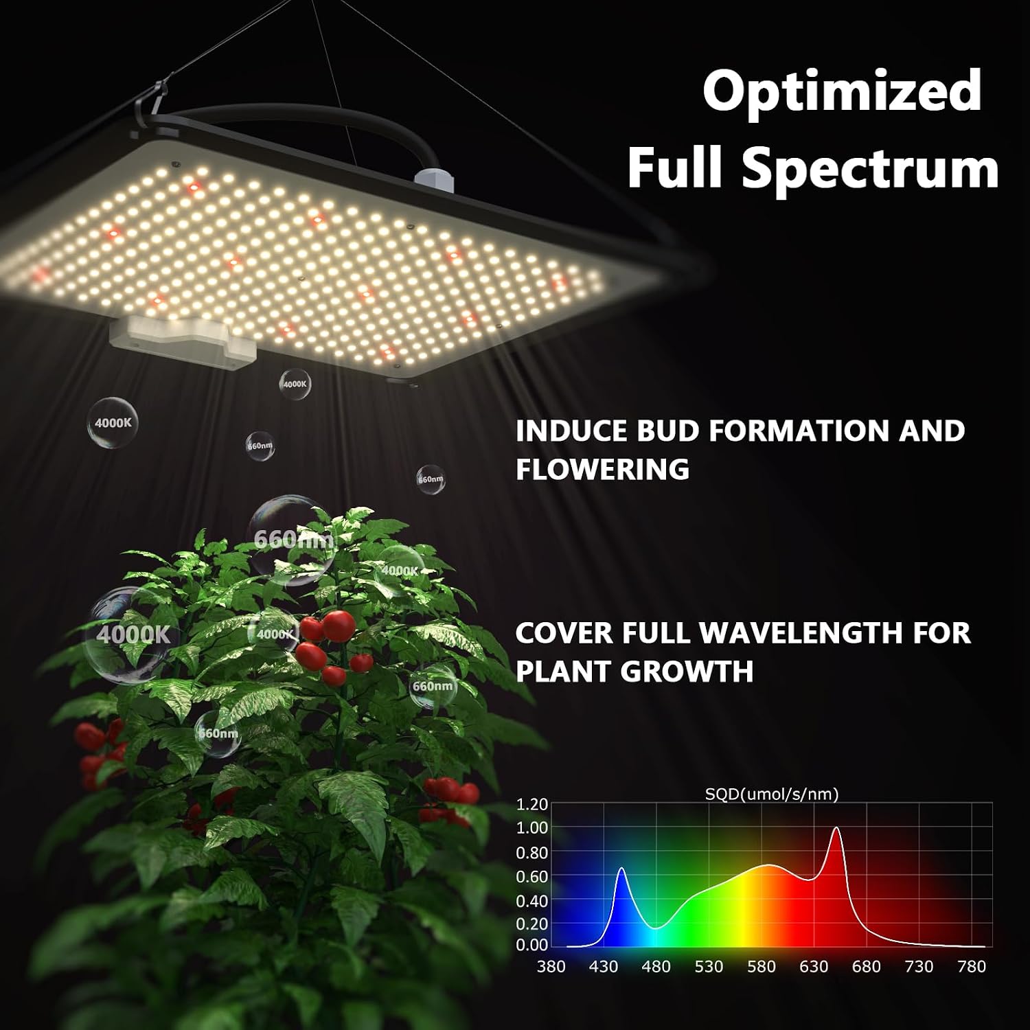 Verbessertes Integriertes Auto – Grow Tent Complete Kit Bewertung und Preis