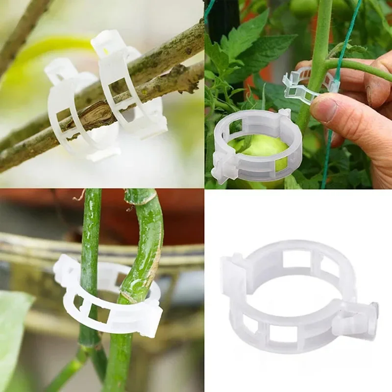 100PCS Anlage Befestigungs Cli – Smart Garden Hub Bewertung und Preis