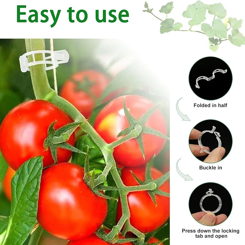 100PCS Anlage Befestigungs Cli – Smart Garden Hub Bewertung und Preis