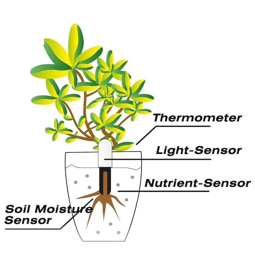 HHCC Blumenmonitor Flora Garte – Smart Garden Hub Bewertung und Preis