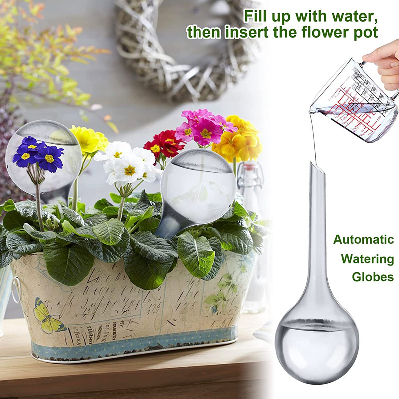 5/10PCS Automatische Pflanzen  – Smart Garden Project Bewertung und Preis