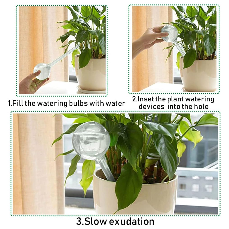 5/10PCS Automatische Pflanzen  – Smart Garden Project Bewertung und Preis